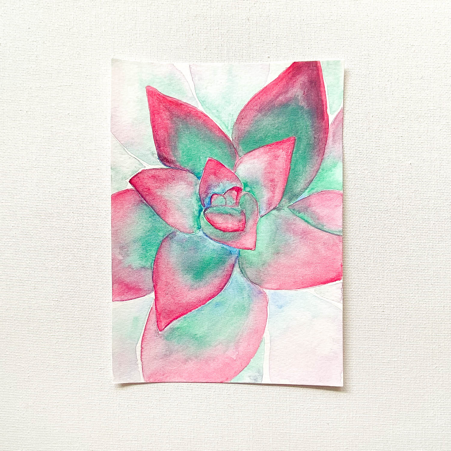 Original Art: Succulent A