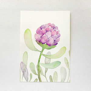 Original Art: Purple Protea