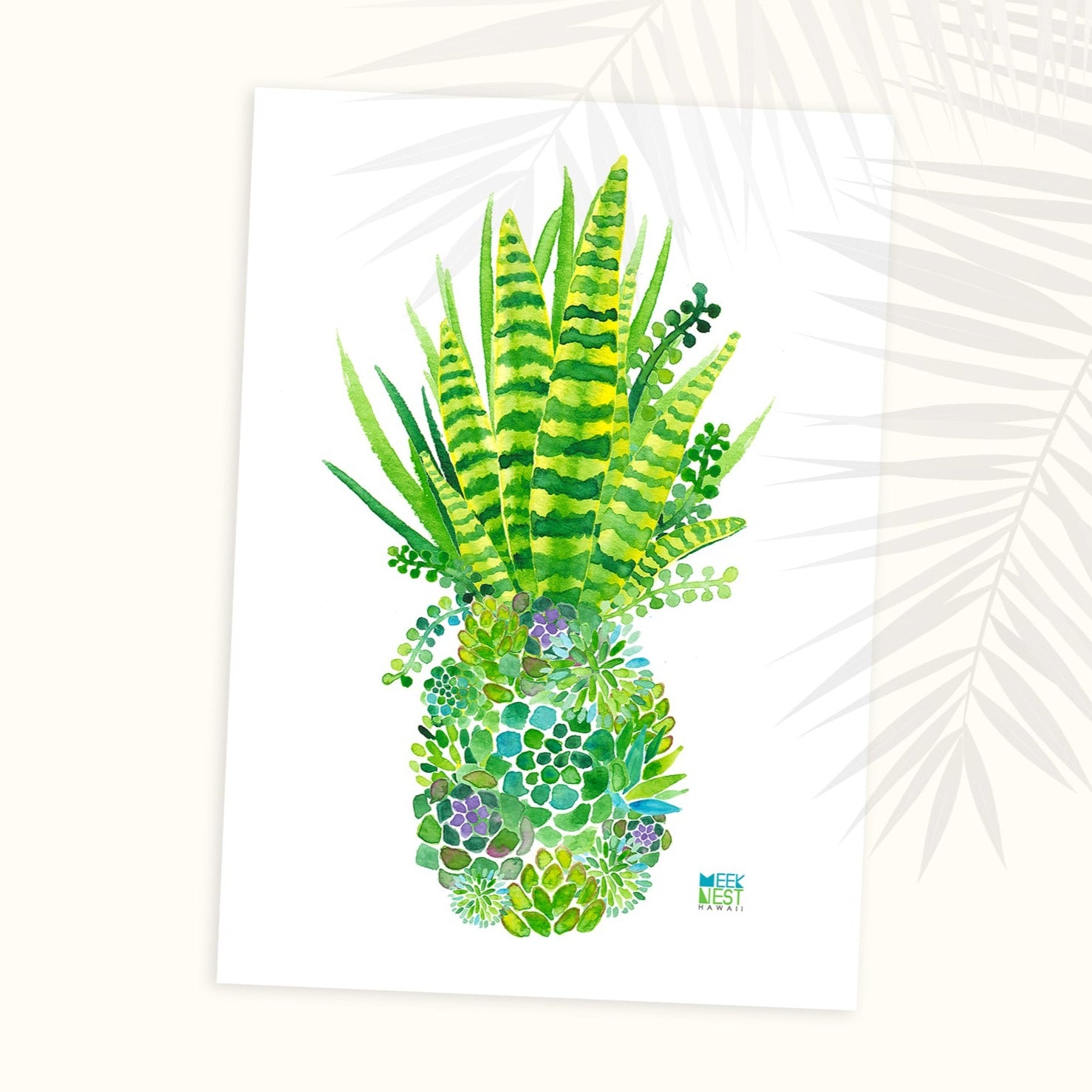 Pineapple: Succulents
